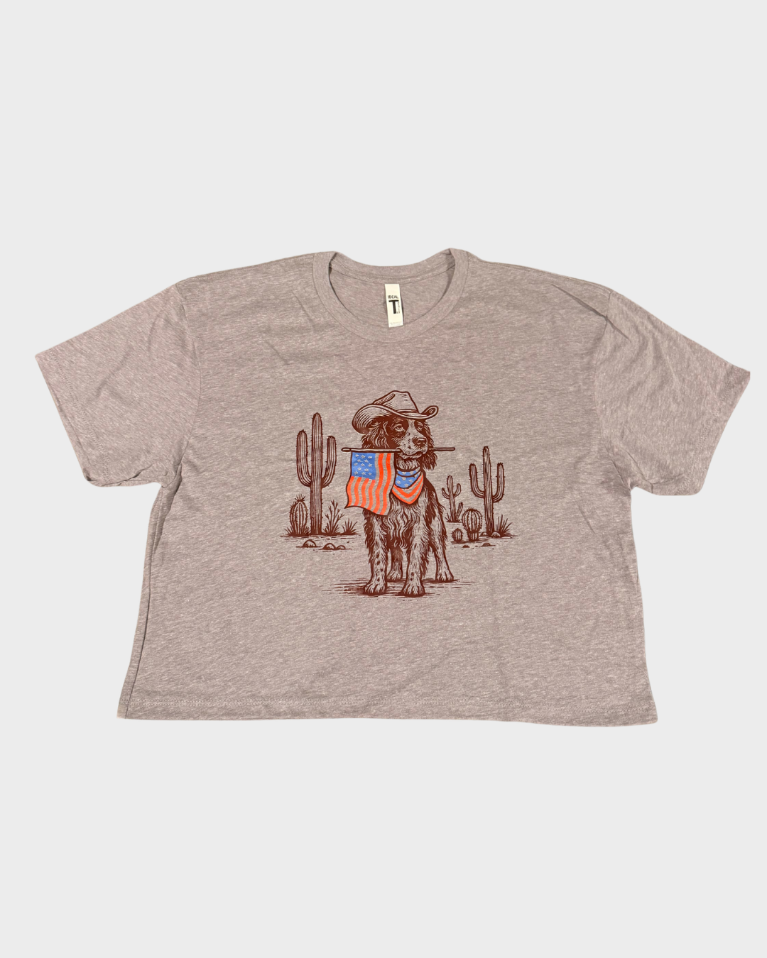 Springer Spaniel With American Flag